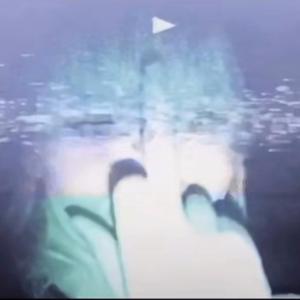 Bird Business 2 (BONUS) (feat. CeeBeezy)