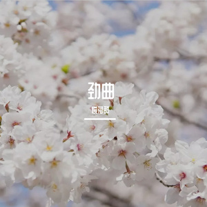 笔记
