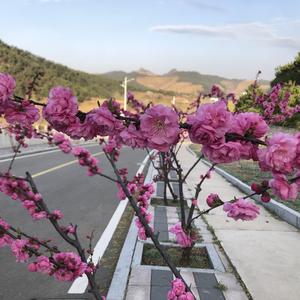 清新悦动山城