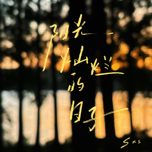 阳光灿烂的日子（A Sunny Day）