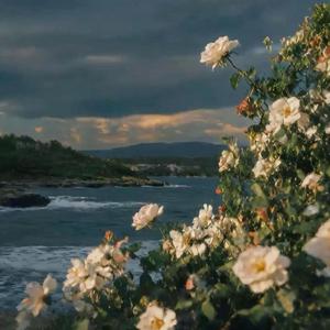 rue (leaving you) (feat. lil softie)