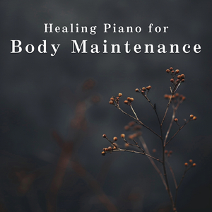 Unfolding a Peaceful Journey