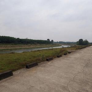 Tùy Âm (Instrumental)