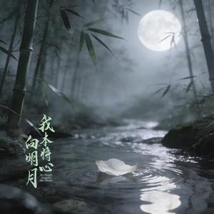 我本将心向明月