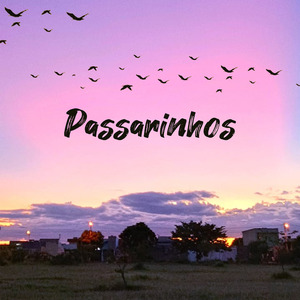 Passarinhos