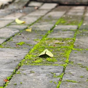 雨后的冬日