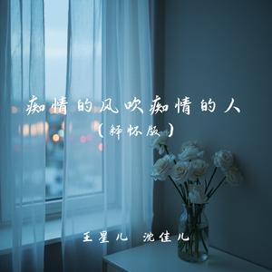痴情的风吹痴情的人(释怀版)