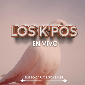 ¡Cómo Quisiera Entenderte! (En Vivo)