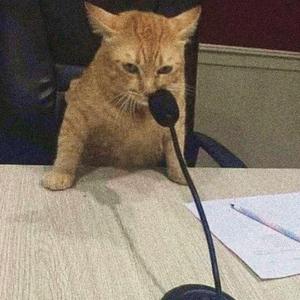 Why am I losing my voice