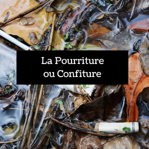 Heridas Con Sabor a Sol