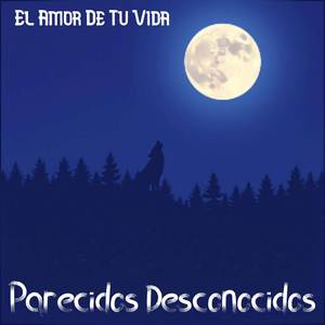 El Amor De Tu Vida