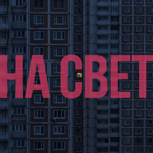 истоптанные вансы