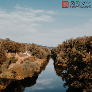 松手的夏季 -小提琴