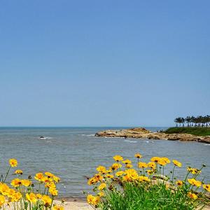 姐姐，今夜我在德令哈