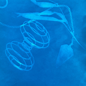 BIO MAP