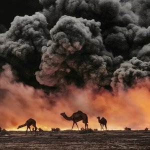 Show Rye Ben Jen Guy See Ah