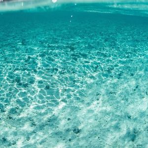 一个人的流浪-整曲