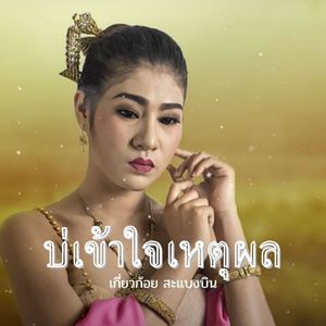 บ่เข้าใจเหตุผล