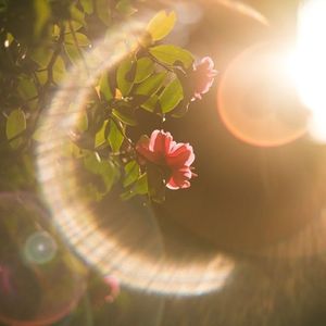 太聪明（心动版）