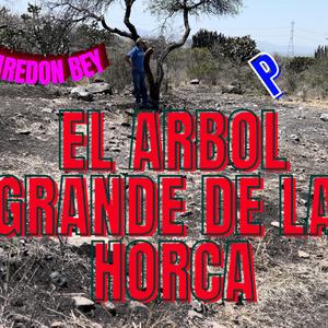el arbol grande de la horca