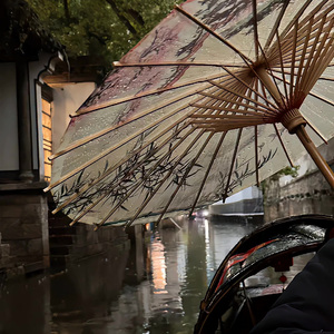 红马(我在江南 撒把欢)