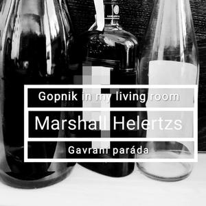 Gopnik in My Living Room / Gavrani Parada