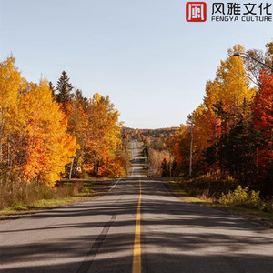 黑白分明 -钢琴