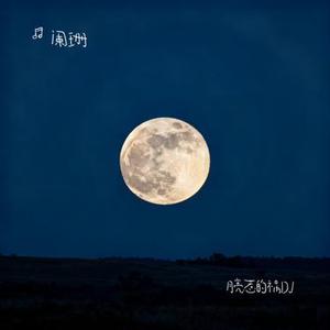 月亮惹的祸DJ (Cover 张宇)