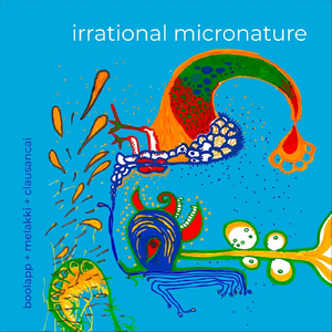 Cuadrántidas Φ Irrational Micronature #3
