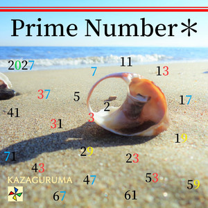 Prime Number＊