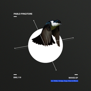 Vestige (Original Mix)