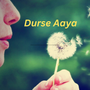 Durse Aaya
