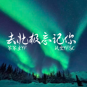 去北极忘记你