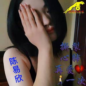 撕心裂肺再爱一回 - (慢摇低音舞曲制作版)