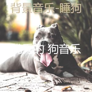 狗午睡-音乐
