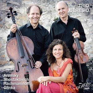 Piano Trio No. 1 in D Minor, Op. 32: I. Allegro moderato