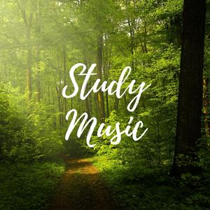 Relaxing Music for Studying and Stress Relief Powerful