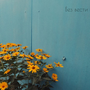 Без вести