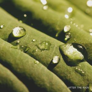 After The Rain