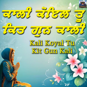 Kali Koyal Tu Kit Gun Kali
