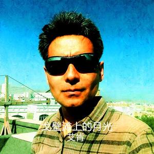 戈壁滩上的月光