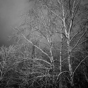 Darkness (REMASTERED)