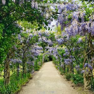 适合办公室工作清新的音乐