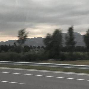 梦一场