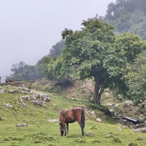 是你教会我如何熟练地不快乐