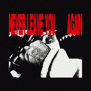 Never Leave You Again