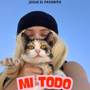 Mi todo