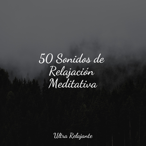 Meditación Sin Consolidar