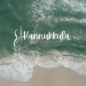 Kannukulla | Dude | Voilin