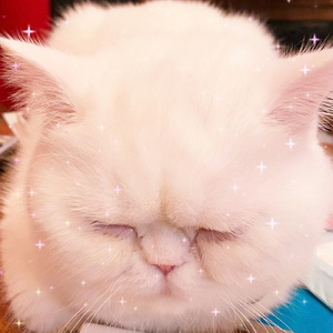 くうちゃん くうちゃん (Jimmy's Extended Party Mix)